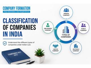 Professional Guide to Classification of Companies in India