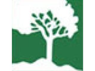 Document Destruction Companies Near Ladera Ranch