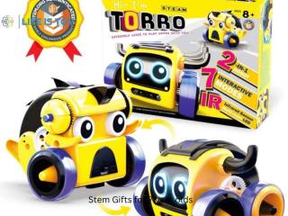 Smart Learning Starts with STEM Gifts for 7 Year Olds