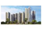 Looking for a rental flat for your family in Noida? check out Amrapali Heartbeat City
