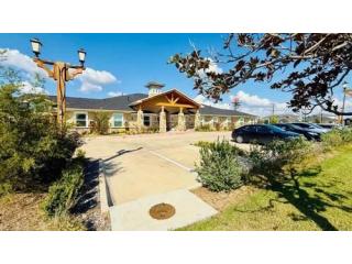 Compassionate Alzheimer’s Care Support In The Woodlands For Families