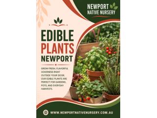 Best Edible Plants in Newport for Home Gardens
