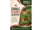 Best Edible Plants in Newport for Home Gardens
