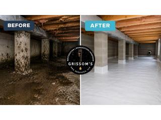 Mold Remediation GA