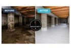 Mold Remediation GA
