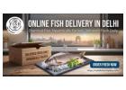 Delhi's Trusted Online Fish Delivery Service