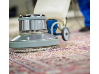 Get a Multi-Brush System with Rug Cleaning Services Adelaide