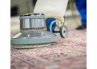 Get a Multi-Brush System with Rug Cleaning Services Adelaide
