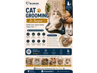 Cat Grooming