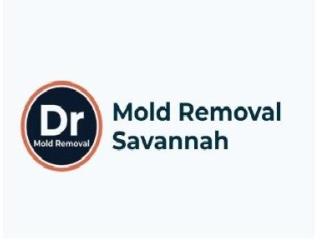 Dr mold removal savannah