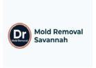 Dr mold removal savannah