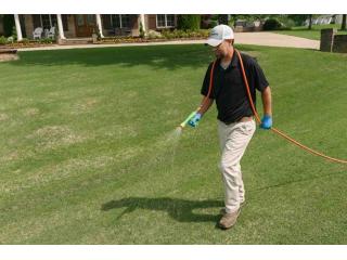 Professional Weed Control Near Me Saginaw MI – Free Lawn Estimate