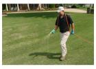 Professional Weed Control Near Me Saginaw MI – Free Lawn Estimate