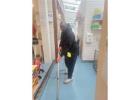 Get Reliable Cleaners in Sutton for a Spotless Property
