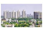 Flats and Apartments For Sale in Rohini Delhi