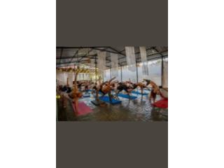 Best Yoga Teacher training in Goa