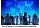 Mba in international business in india