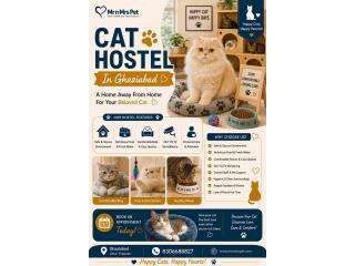 Cat Hostel
