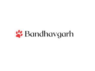 Tiger Safari Bandhavgarh