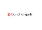 Tiger Safari Bandhavgarh
