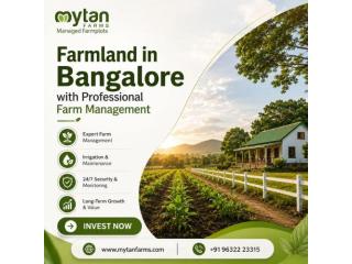 Farmland in Bangalore with Professional Farm Management