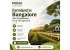 Farmland in Bangalore with Professional Farm Management