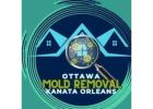 Expert Mold Removal & Mold Testing Services in Ottawa
