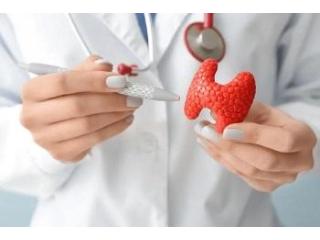 Endocrinology Treatment in Ahmedabad