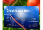 Avoiding the January Credit Card Hangover: 7 Steps to Stay Debt-Free This Holiday
