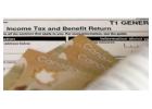 CRA Taking Tax Refund? How an LIT Can Help