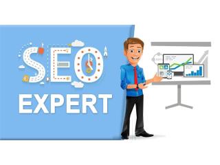 SEO Expert in India – Boost Your Google Rankings Fast