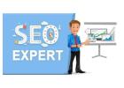 SEO Expert in India – Boost Your Google Rankings Fast