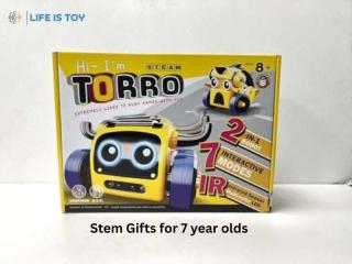 Buy Stem Gifts for 7 Year Olds with Confidence
