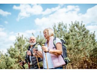 Hiking Adventure in Westfield Parish | Cabins, Kayaking & Nature Retreat