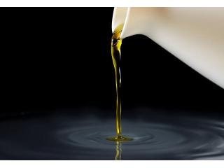 Used Cooking Oil Dutchess County New York