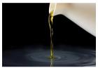 Used Cooking Oil Dutchess County New York