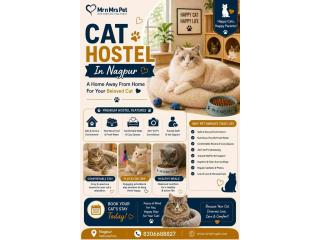 Cat Hostel