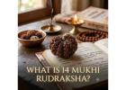 What Is 14 Mukhi Rudraksha