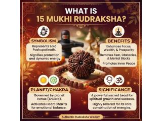 What Is 15 Mukhi Rudraksha