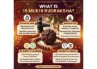 What Is 15 Mukhi Rudraksha