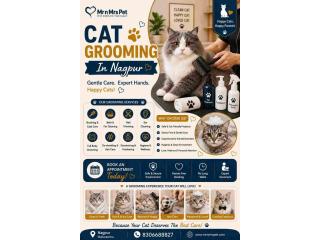 Cat Grooming