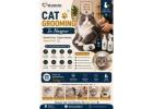 Cat Grooming