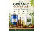 Bulk Organic Carrier Oils Supplier in India