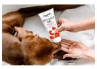 How to Prevent Hot Spots on Dogs with Natural Skin Care and Daily Wellness