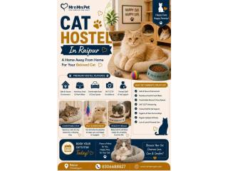 Cat Hostel