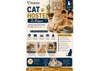Cat Hostel