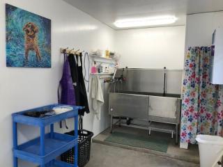 Install PVC wall covering for dog kennels to improve the hygienic conditions