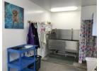   Install PVC wall covering for dog kennels to improve the hygienic conditions