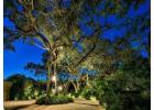 Outdoor Lighting in Fort Lauderdale