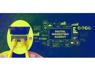 Top SEO Company in Noida | Professional SEO Experts Delhi NCR